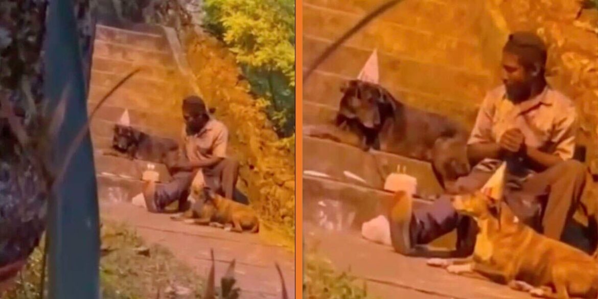 A-Man-living-on-the-Streets-threw-a-Heartfelt-Birthday-Party-for-his-Dog-complete-with-Hats-Cake-and-Candles.jpg